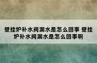 壁挂炉补水阀漏水是怎么回事 壁挂炉补水阀漏水是怎么回事啊